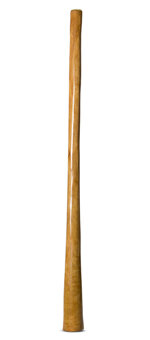 Gloss Finish Flared Didgeridoo (TW1126)
